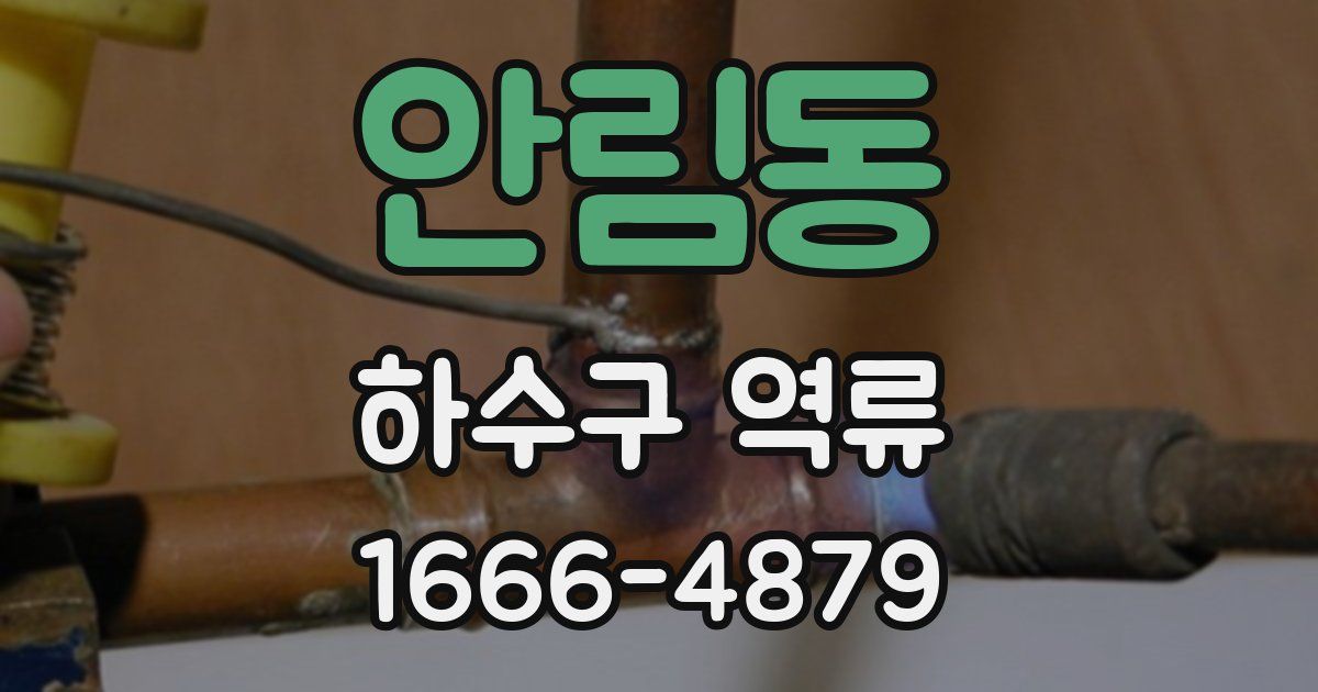안림동 하수구 역류