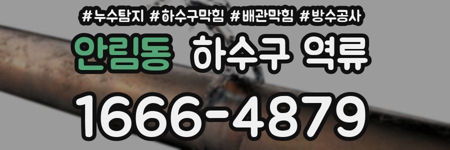 안림동 하수구 역류