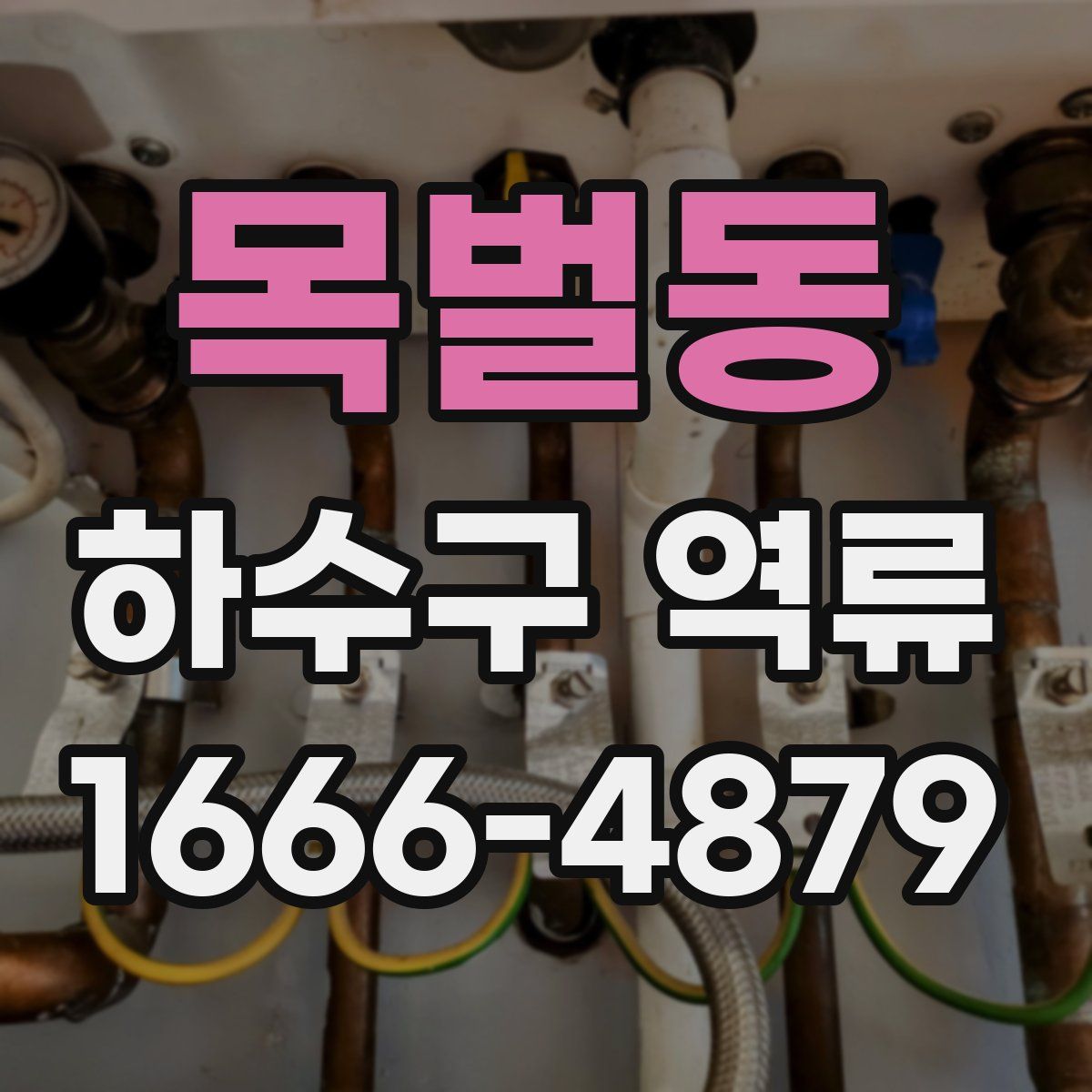 목벌동 하수구 역류