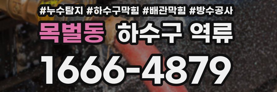 목벌동 하수구 역류