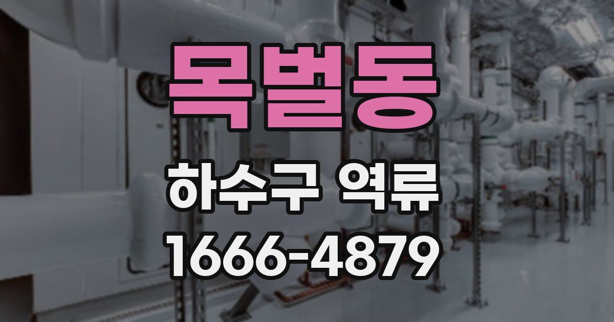목벌동 하수구 역류
