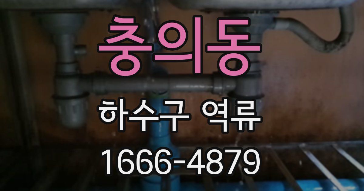 충의동 하수구 역류