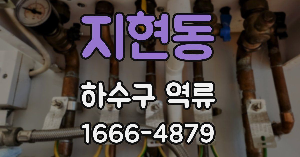 지현동 하수구 역류