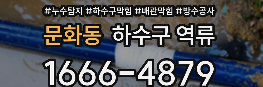문화동 하수구 역류