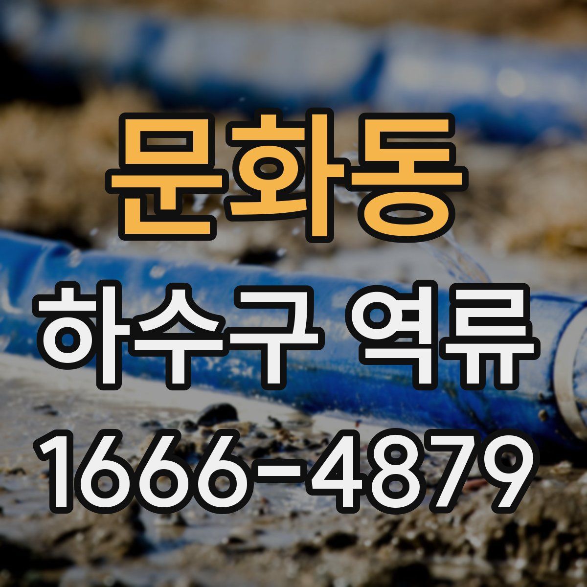 문화동 하수구 역류