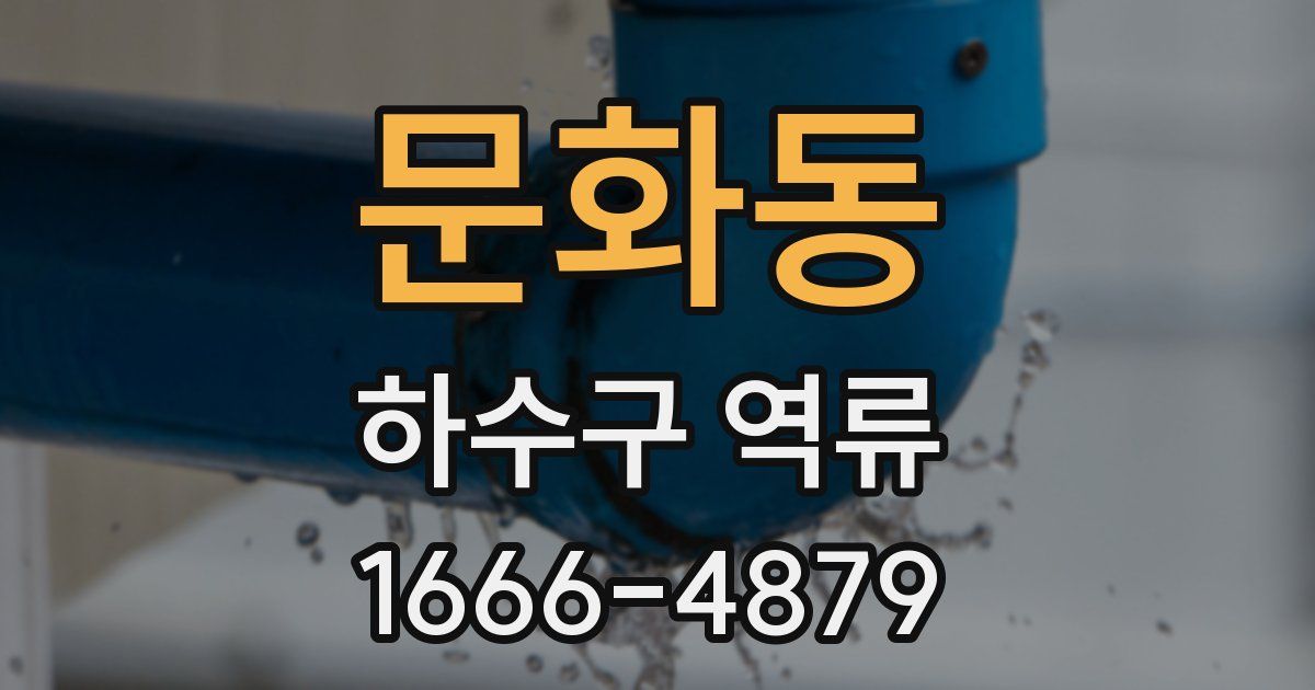 문화동 하수구 역류