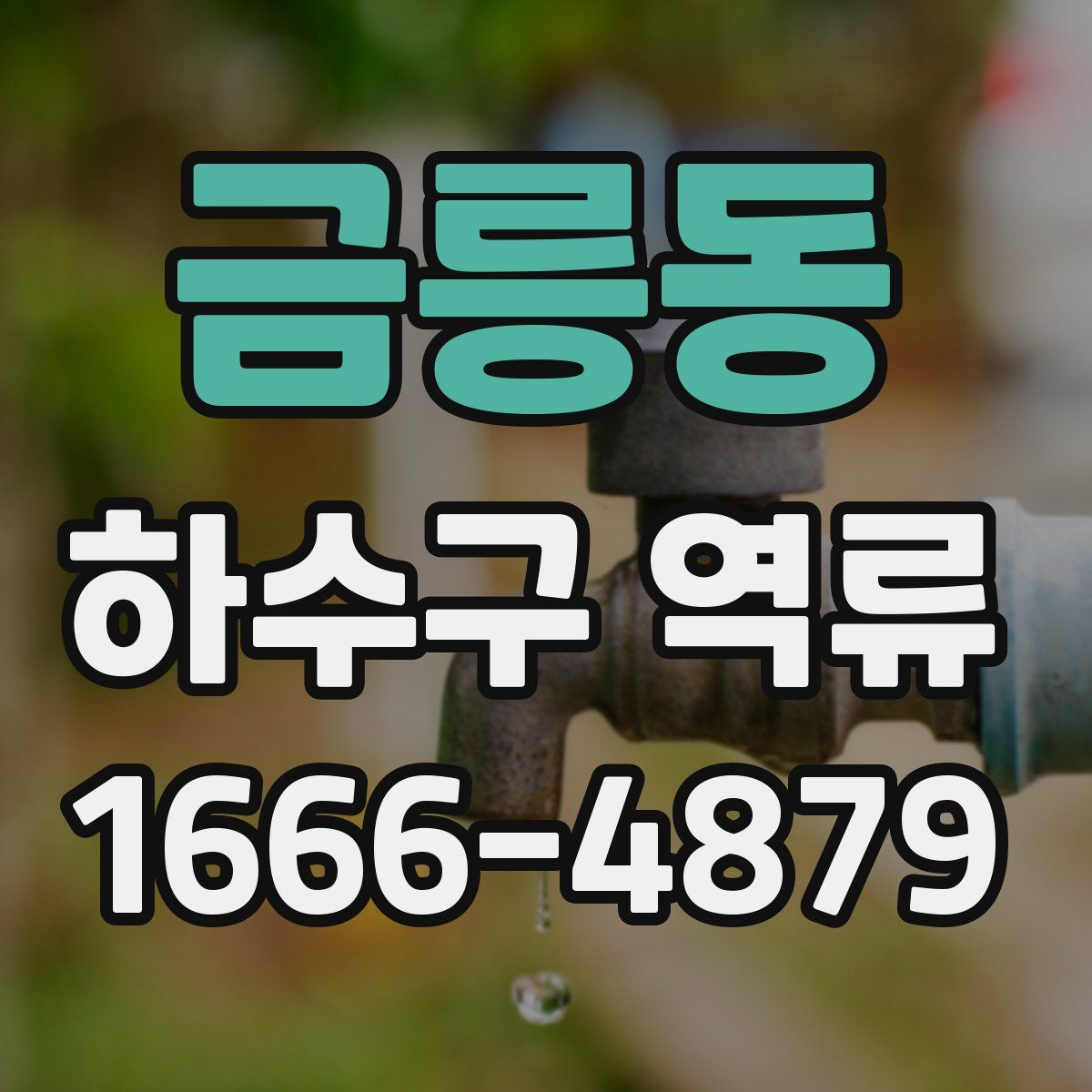 금릉동 하수구 역류