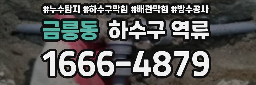 금릉동 하수구 역류