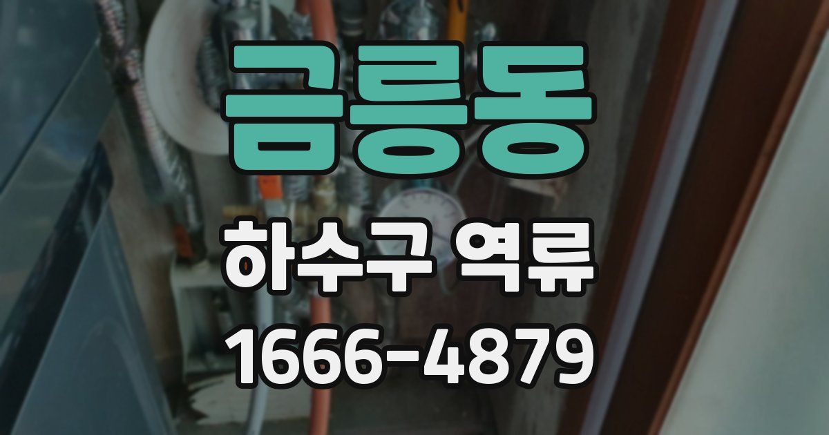금릉동 하수구 역류