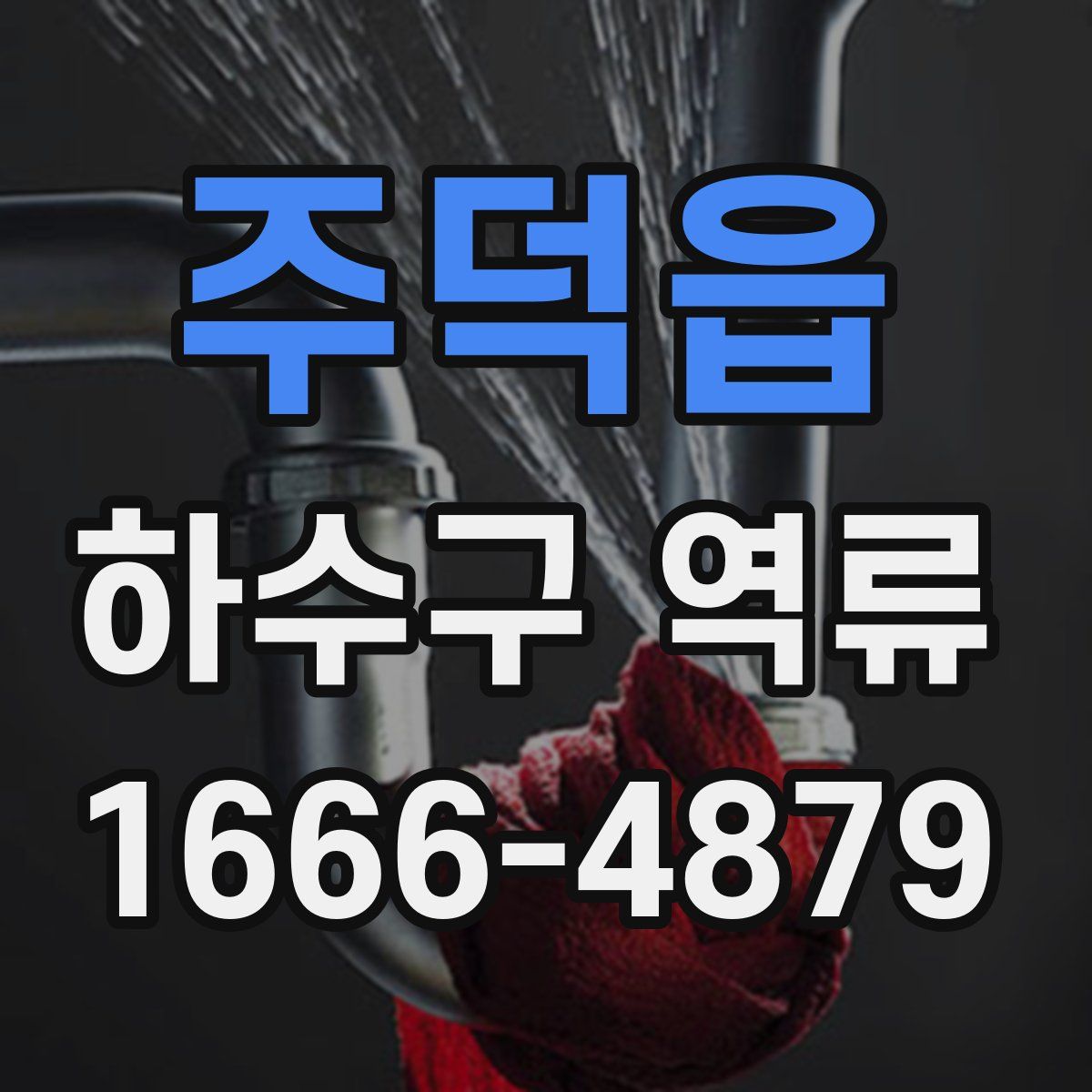 주덕읍 하수구 역류
