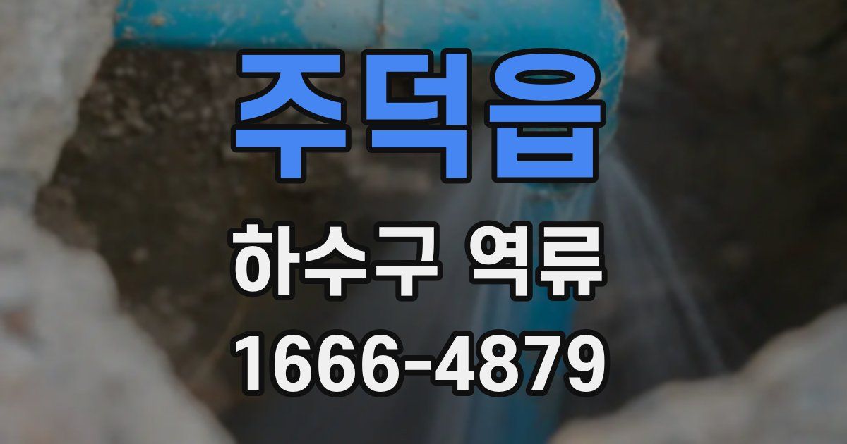 주덕읍 하수구 역류