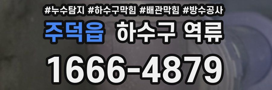 주덕읍 하수구 역류