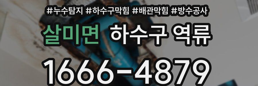 살미면 하수구 역류