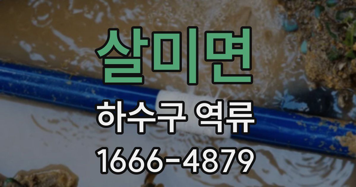 살미면 하수구 역류
