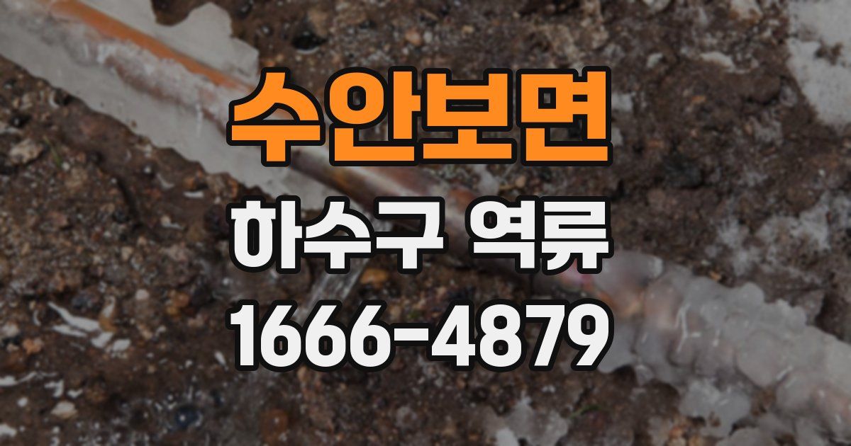 수안보면 하수구 역류