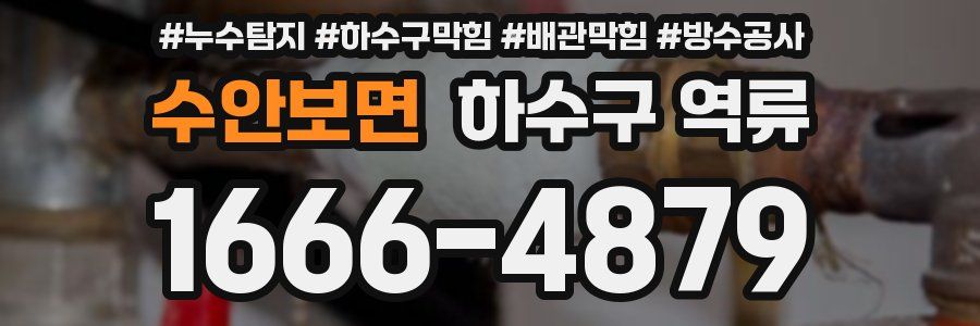 수안보면 하수구 역류