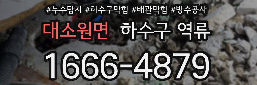 대소원면 하수구 역류