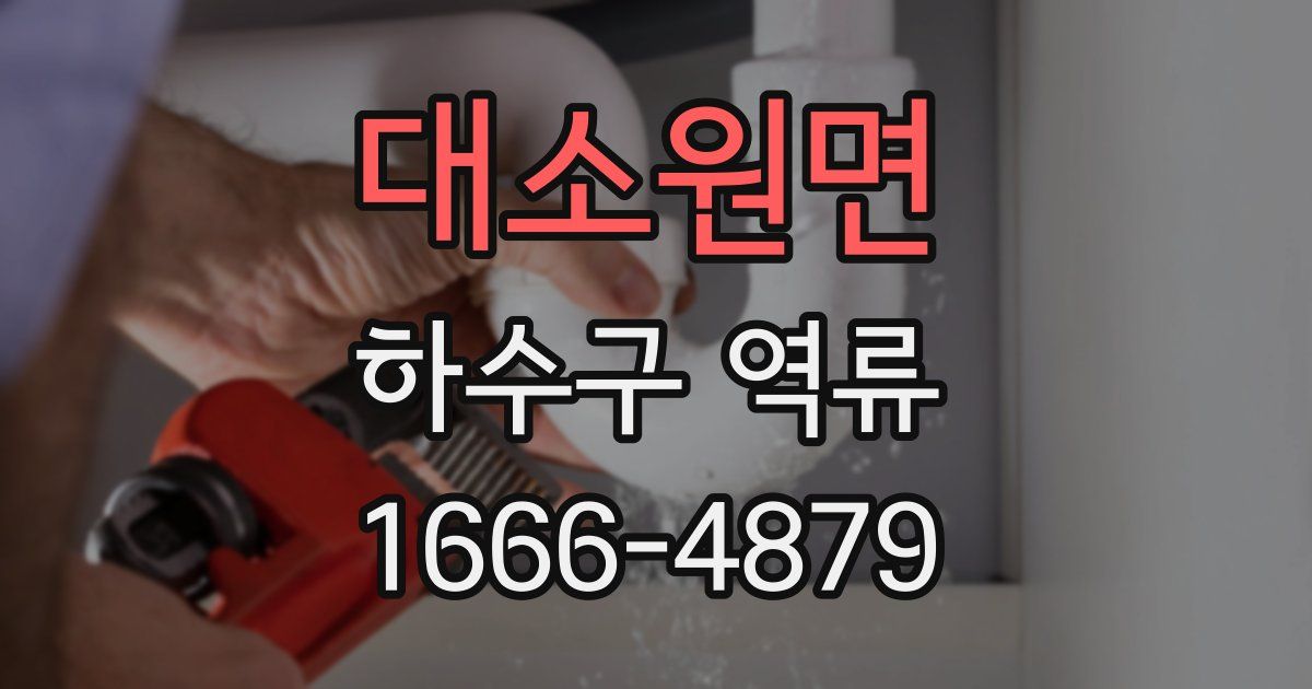 대소원면 하수구 역류