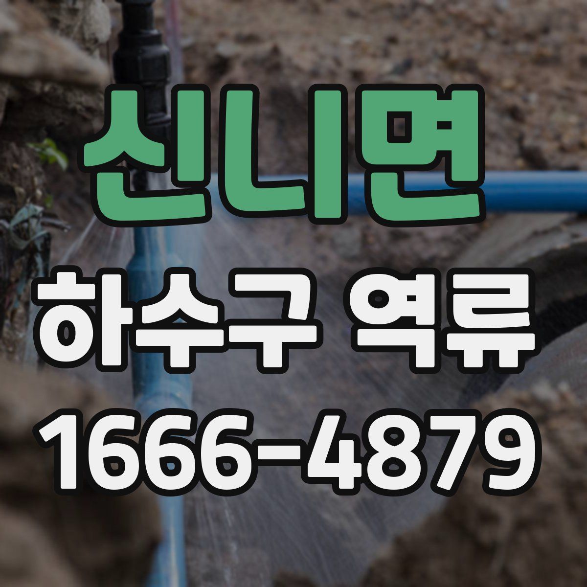 신니면 하수구 역류