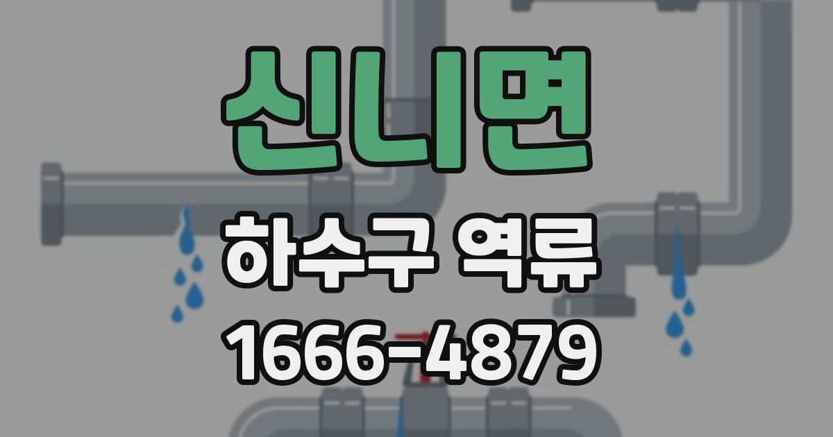 신니면 하수구 역류