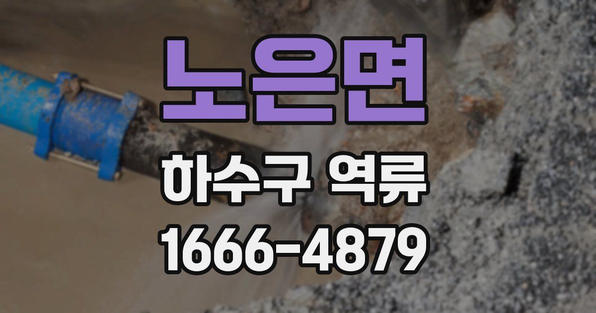 노은면 하수구 역류