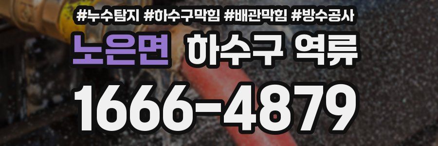 노은면 하수구 역류