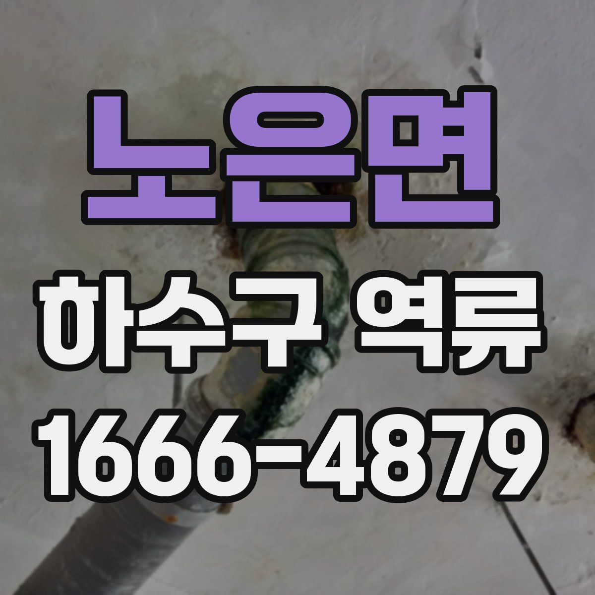 노은면 하수구 역류