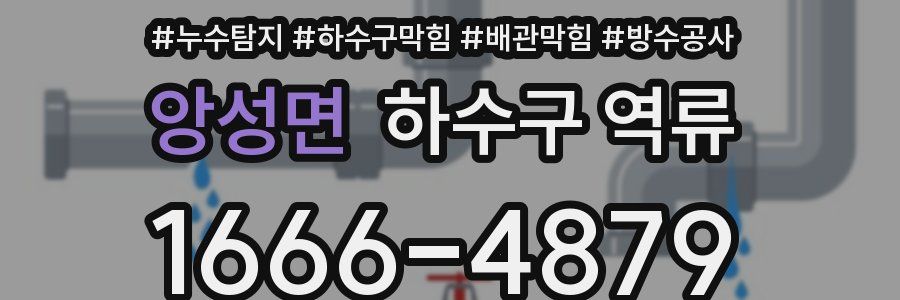 앙성면 하수구 역류