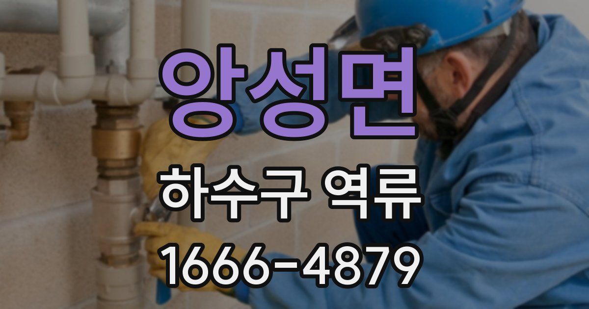 앙성면 하수구 역류