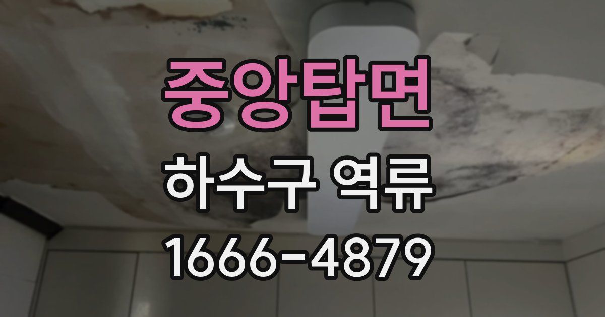 중앙탑면 하수구 역류