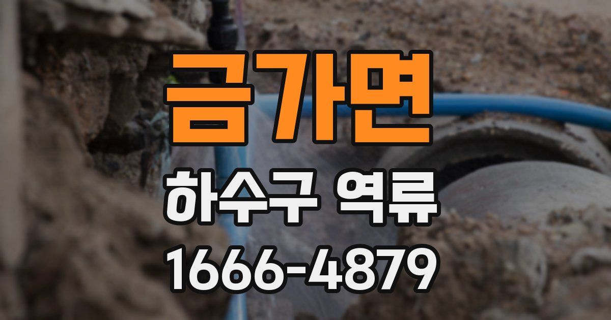 금가면 하수구 역류