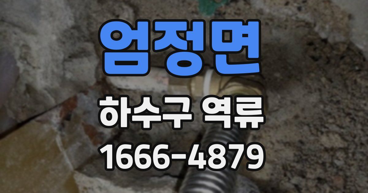 엄정면 하수구 역류