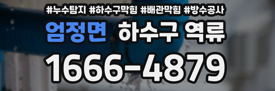 엄정면 하수구 역류