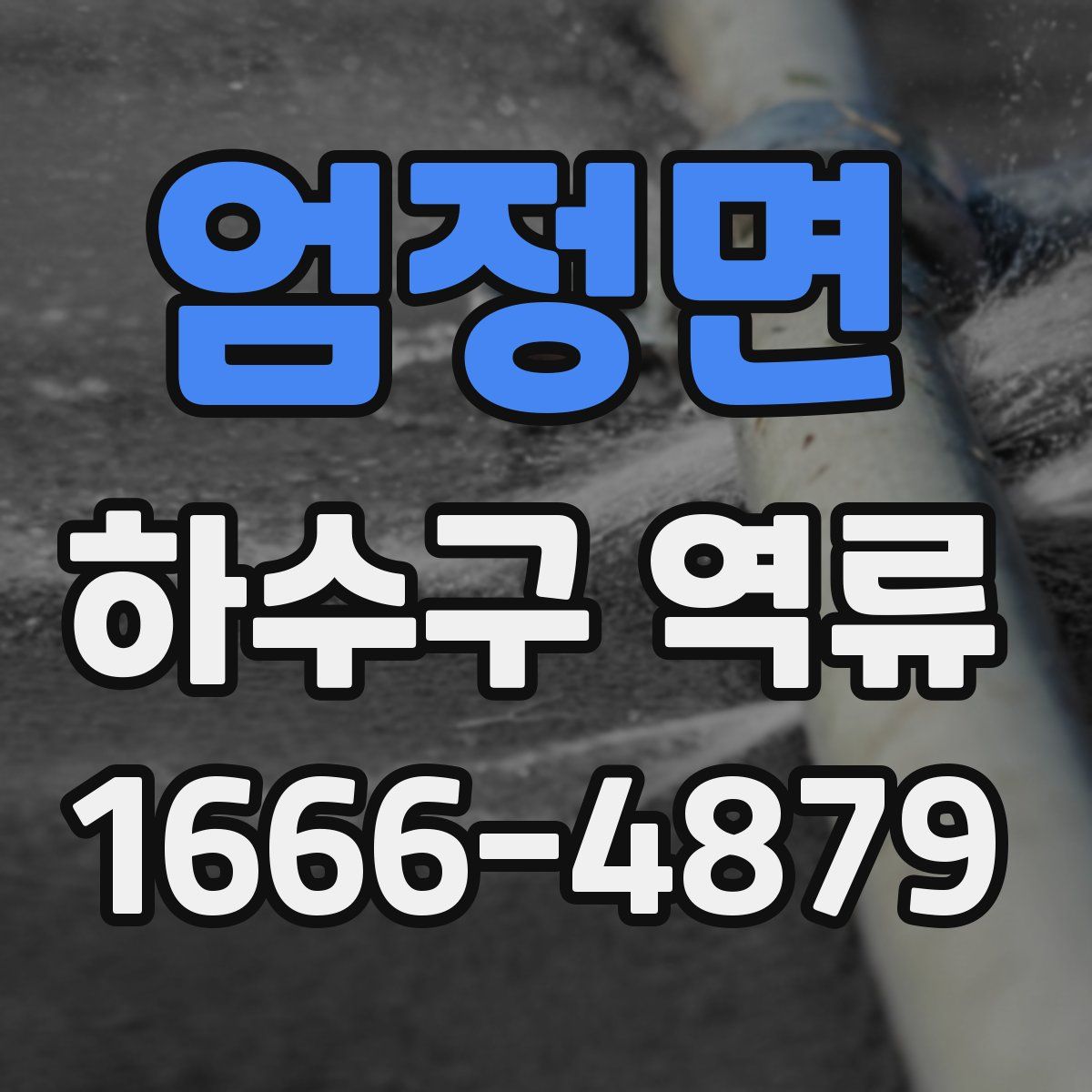 엄정면 하수구 역류