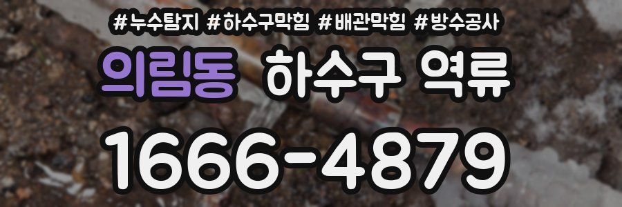 의림동 하수구 역류