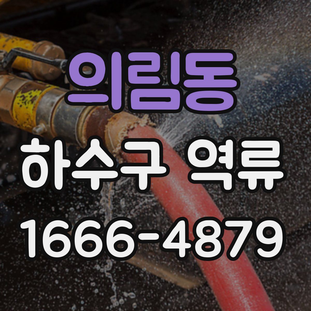 의림동 하수구 역류