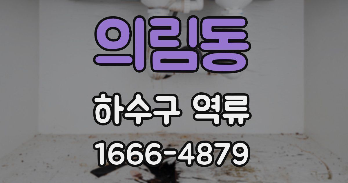 의림동 하수구 역류