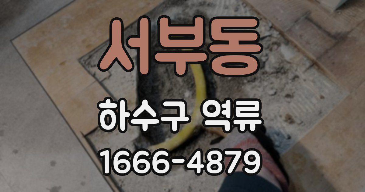 서부동 하수구 역류