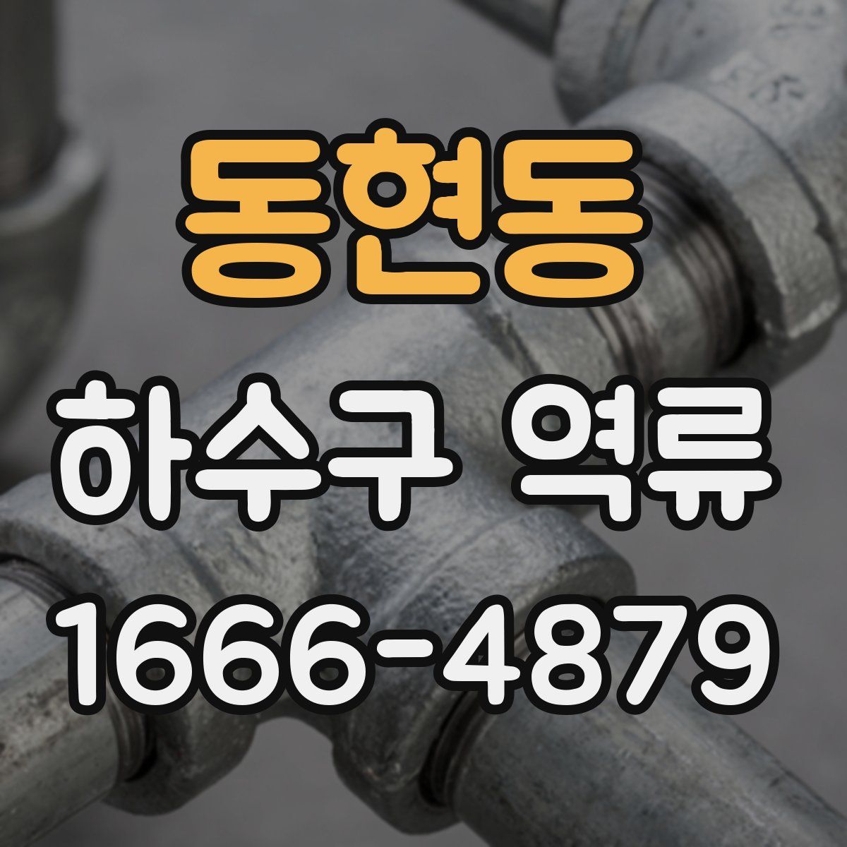 동현동 하수구 역류