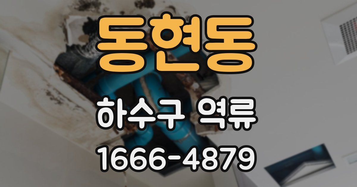 동현동 하수구 역류