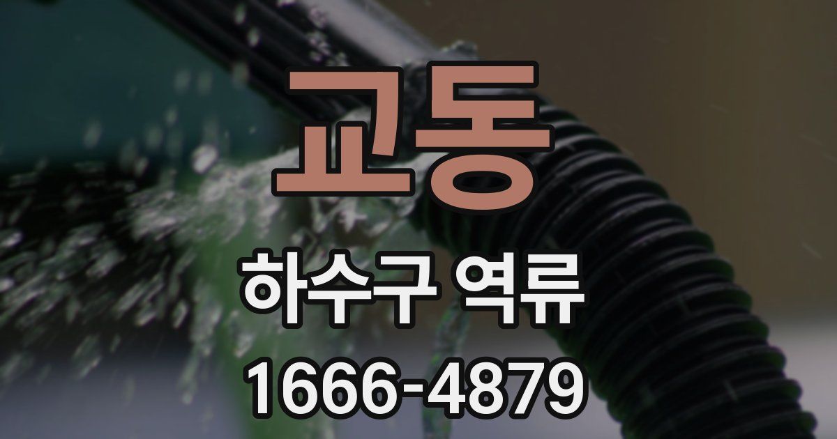 교동 하수구 역류