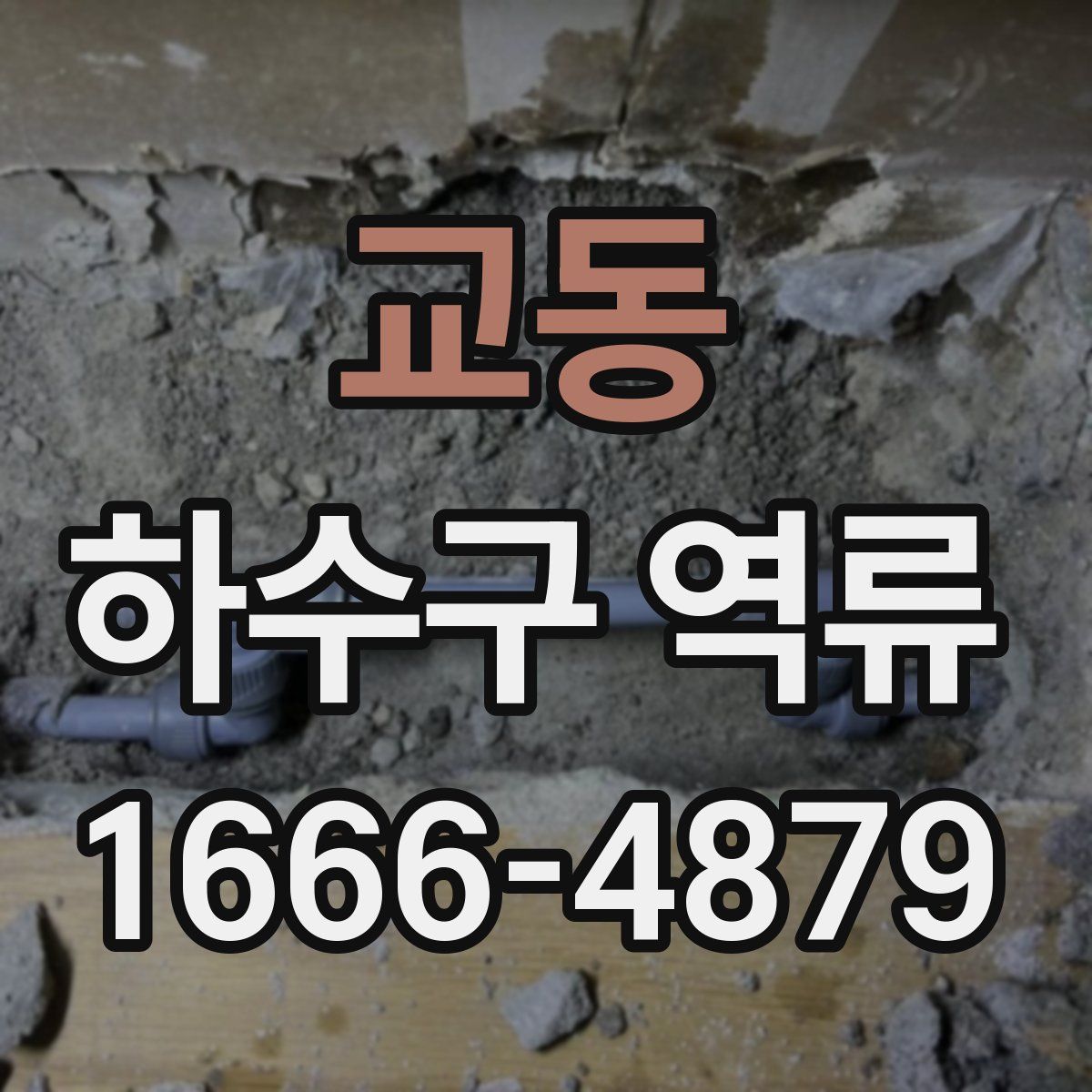 교동 하수구 역류