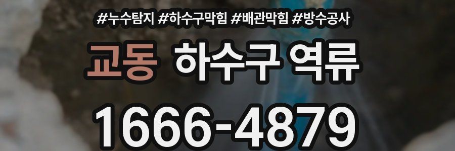 교동 하수구 역류