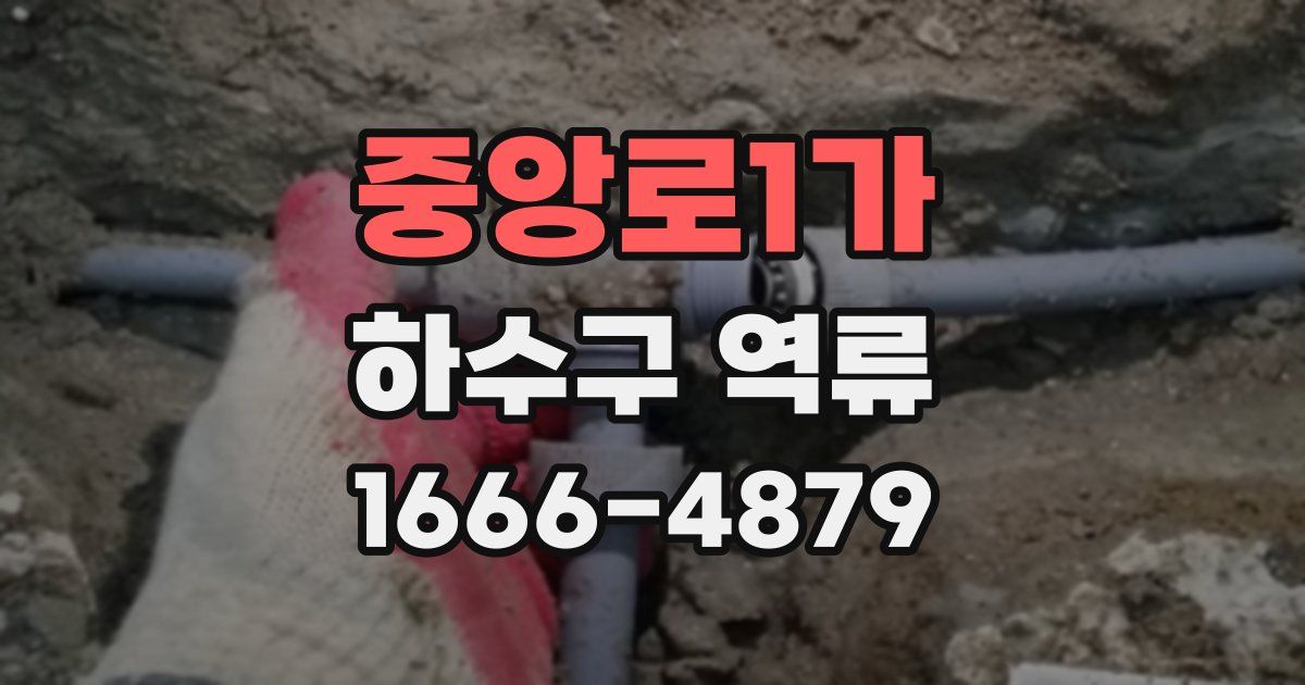 중앙로1가 하수구 역류