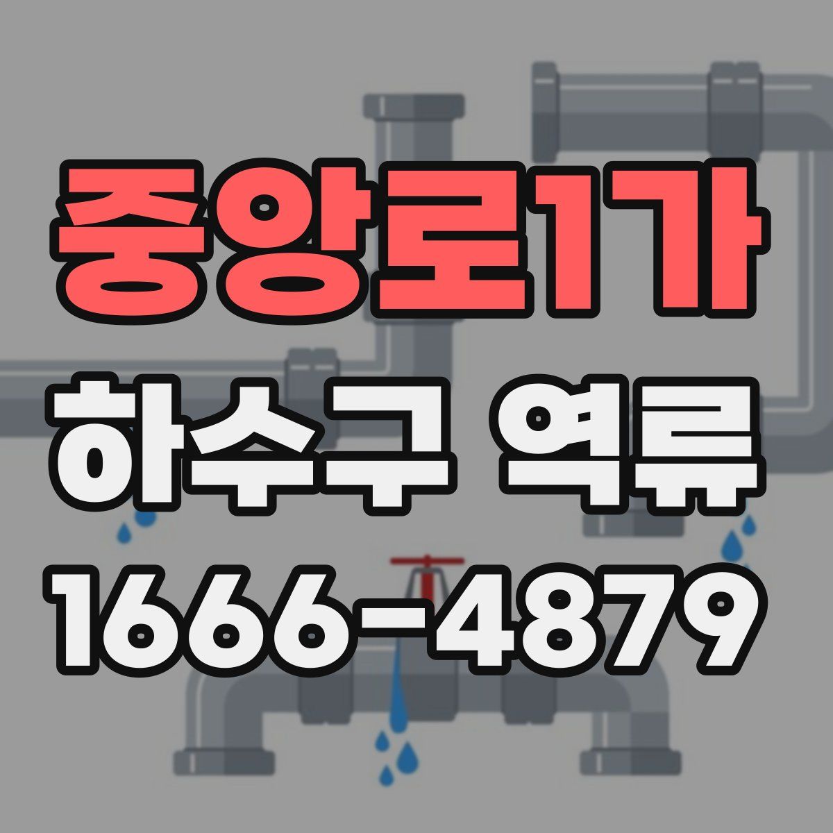 중앙로1가 하수구 역류