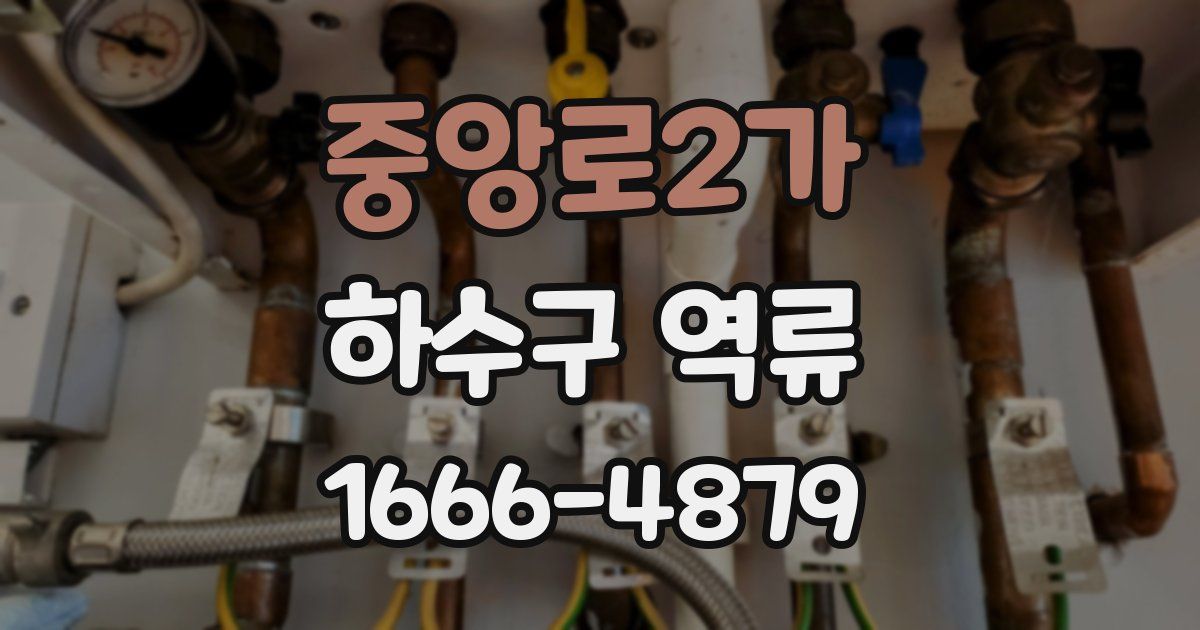 중앙로2가 하수구 역류