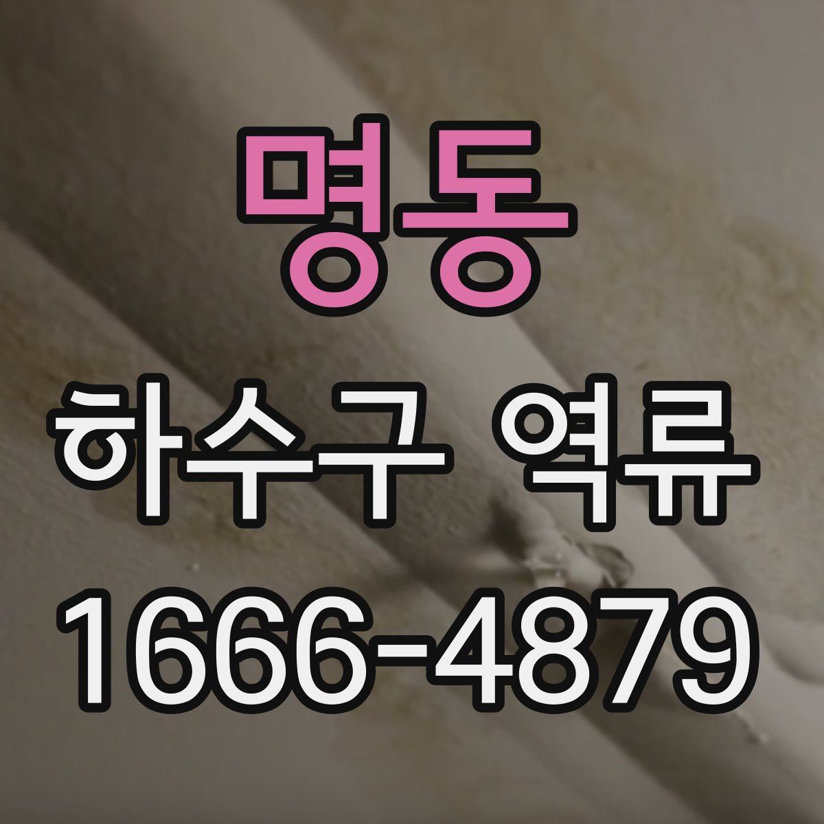 명동 하수구 역류
