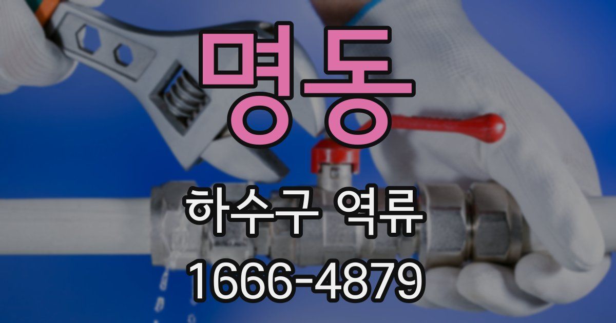 명동 하수구 역류
