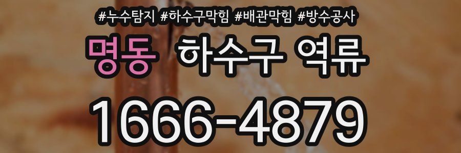 명동 하수구 역류