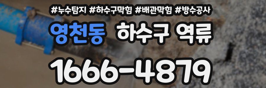 영천동 하수구 역류
